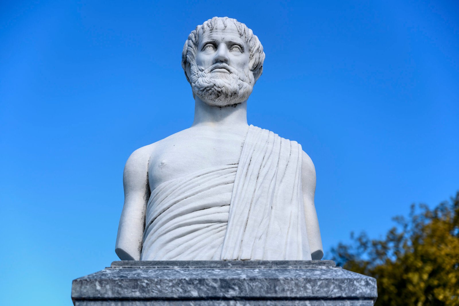 Aristote Je Pense Donc Je Suis Aristote Je Pense Donc Je Suis